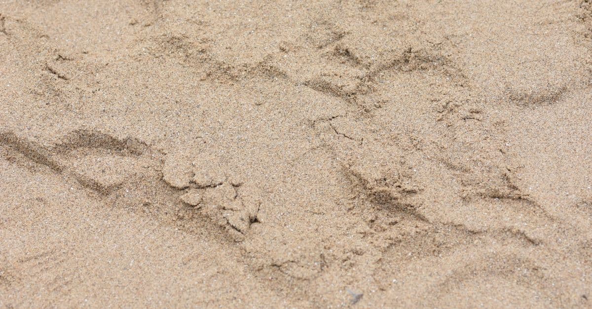 Jūrmala ievieš 'Pieklājīgo smilšu' pilotprogrammu pēc iedzīvotāju sūdzībām, ka pludmale viņiem tuvojas pārāk agresīvi