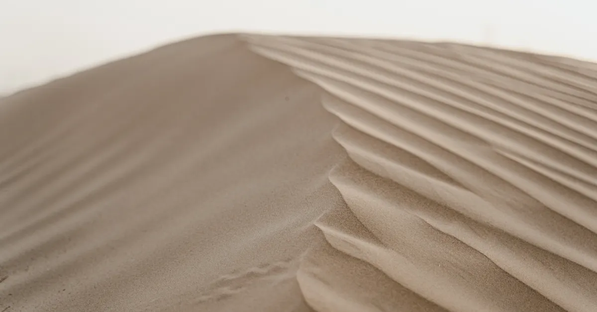 Jūrmala Introduces Quiet Sand to Preserve Resort’s Historic Sound of Passive-Aggressive Seagulls
