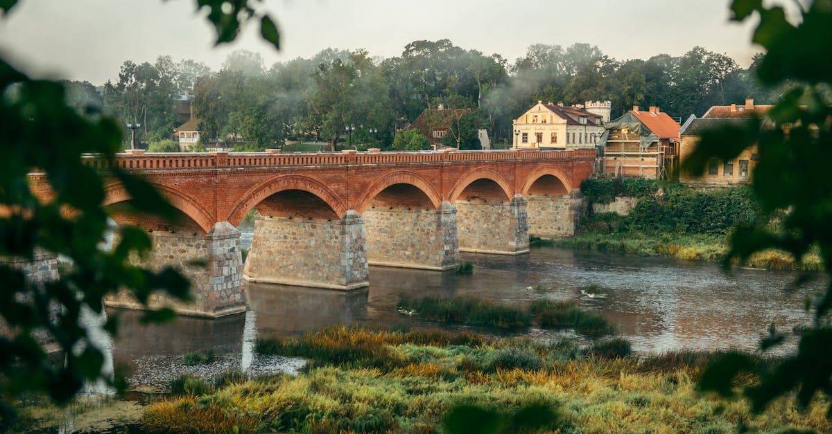 Latvia Declares Itself World Leader in Rapidly Melting Snowmen