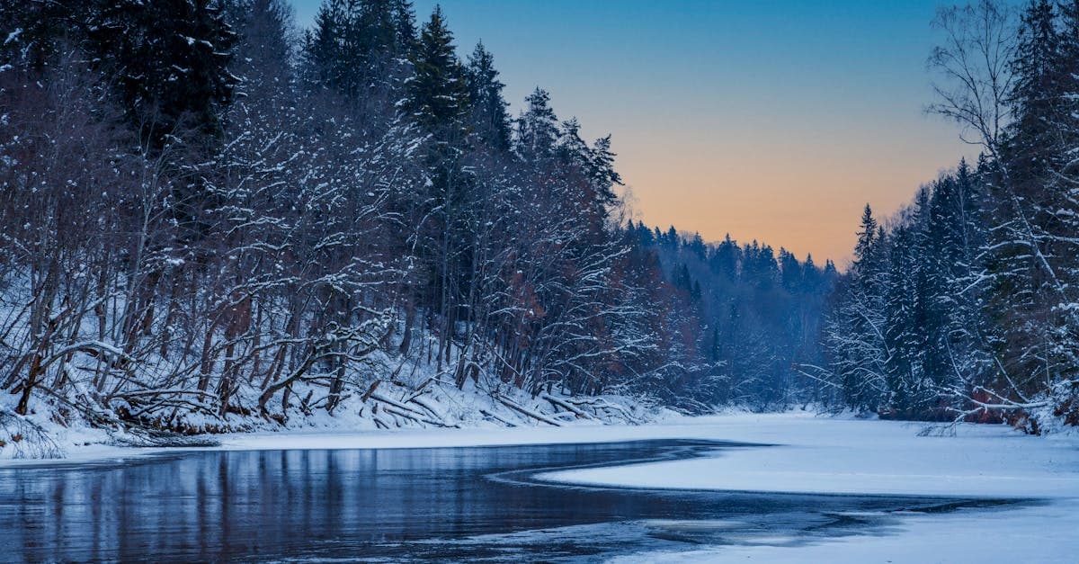 Latvija svinēs nesāpīgu ziemu ar valsts mēroga 'Sūdzies-par-zemestaukiem' dienu