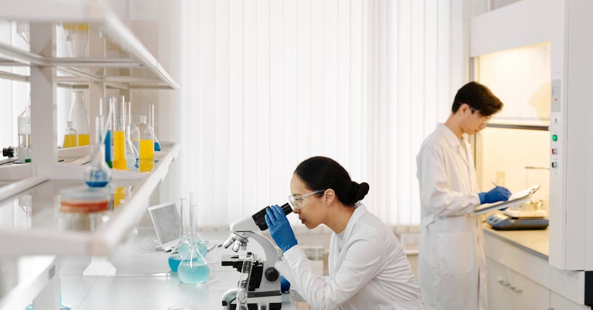 Латвийские ученые успешно обучили чаек доставлять свежую выпечку в Юрмале