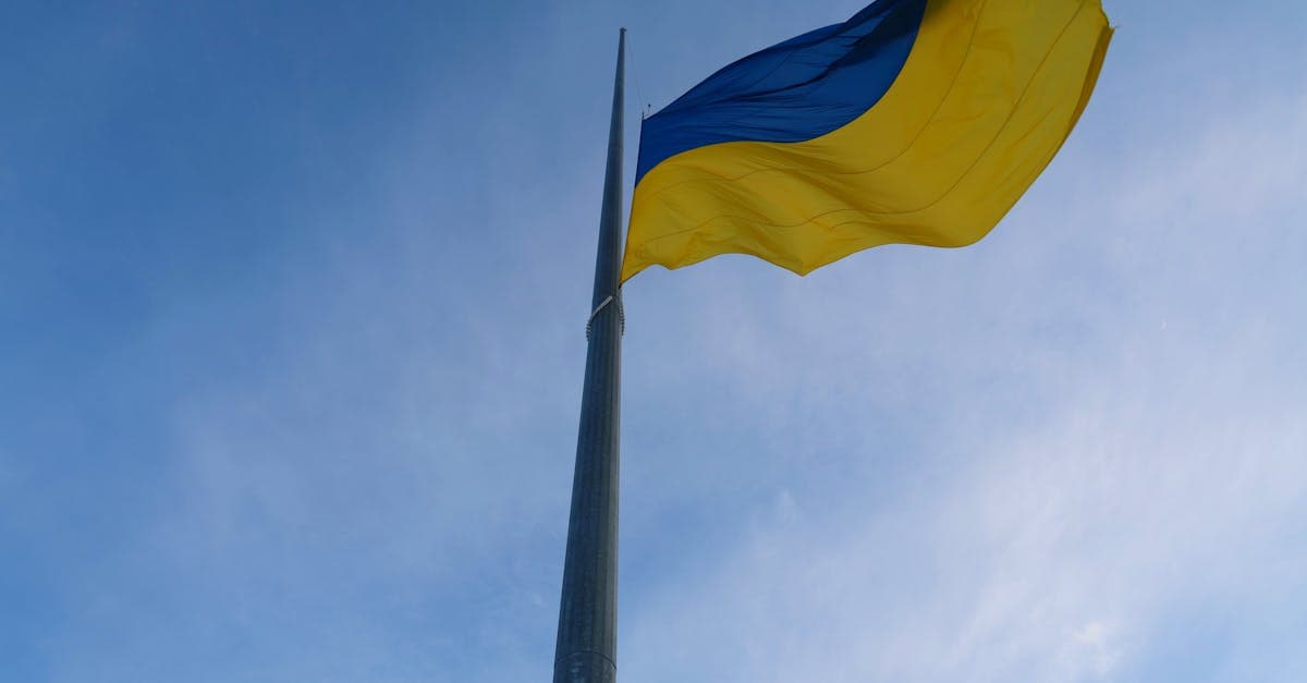 Рига объявляет новую национальную птицу: Парковочный Голубь